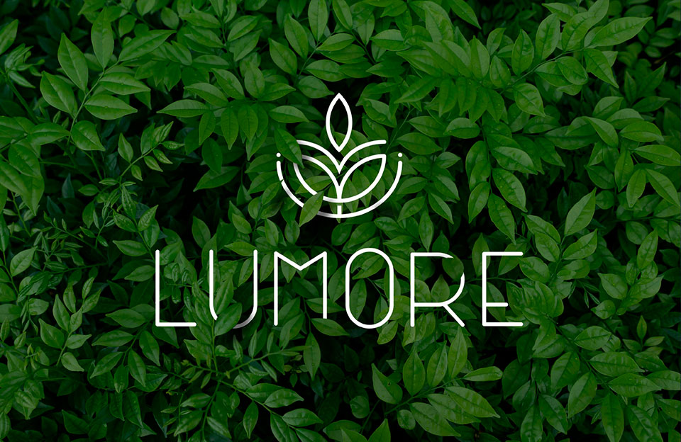 Criação da identidade visual para a Lumore