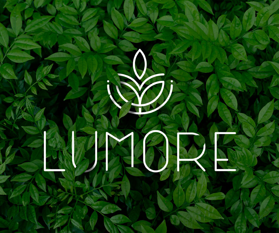 LUMORE - Portfolio Junt